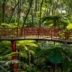 Monte Palace Tropical garden, Japansk bro